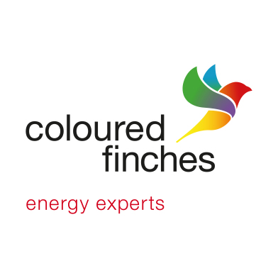 Coloured finches logo